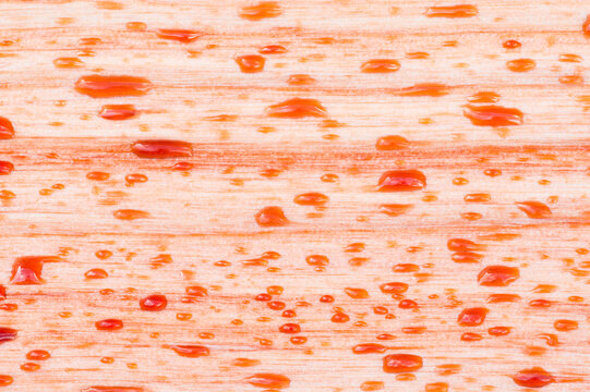 Red raindrops on Red Alder