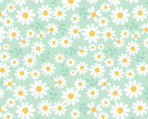 Daisy Pattern on Mint Green