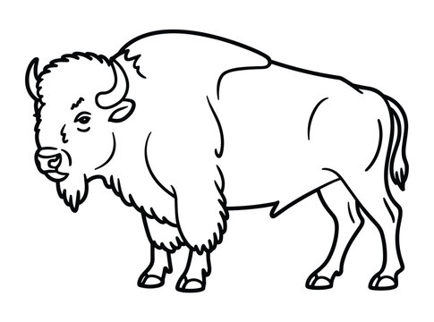 A simplified black and white line art drawing of a majestic North American bison standing on a transparent background