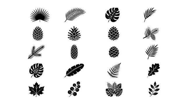 :
Botanical Silhouette Icons Set with Fan Palm Leaf Pinecone and Tropical Foliage Vector Illustration