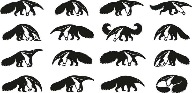 Set of black anteater silhouettes in various poses and activities for graphic design and creative projects