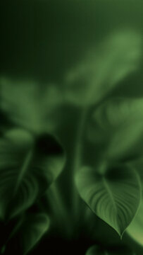Soft focus green leaf background with botanical texture