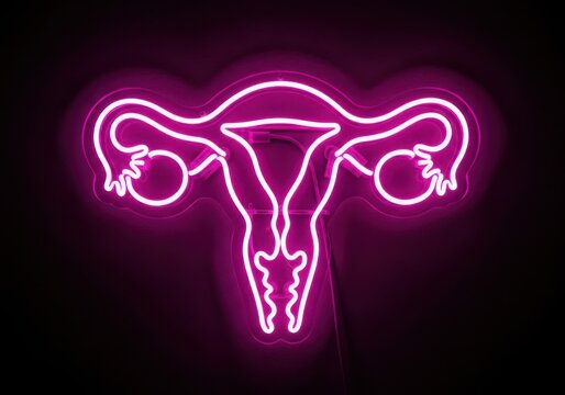 Neon pink uterus medical illustration