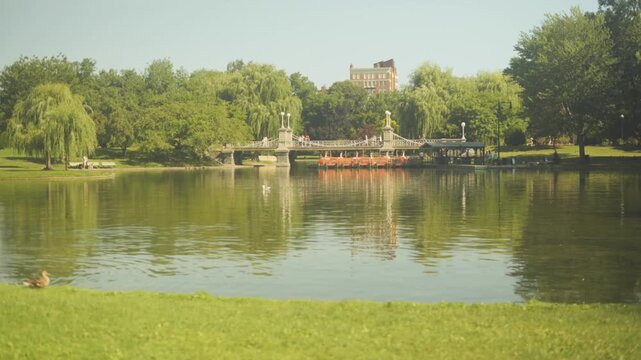Park in downtown Boston.