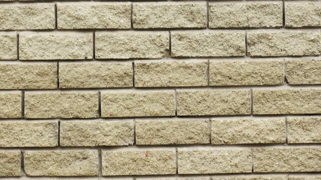 Closeup of textured brick surface. Detailed view of weathered beige brick wall. Visual representation of aged beige bricks with mortar lines for design and CGI use