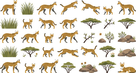 Obraz premium Set of serval wild cat illustrations in diverse poses with savannah trees and natural landscape environment