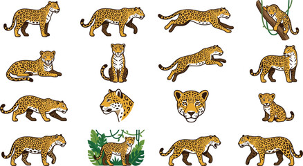 Obraz premium Sixteen flat vector illustrations of jaguars displaying different active poses and expressions on white background