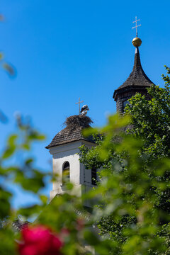 Storchennest auf einer Kirche