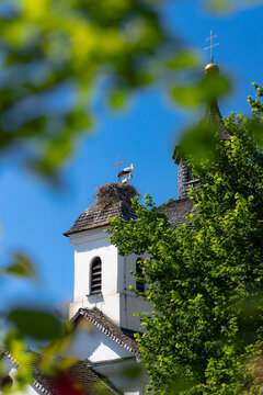 Storchennest auf einer Kirche