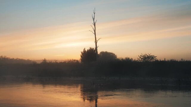 Serene river reflects the beautiful colors of a sunrise on a peaceful, foggy morning. A lonely dead tree stands on the riverbank, its silhouette mirrored on the calm water's surface