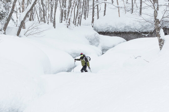Backcountry skier in deep powder snow forest, Hokkaido