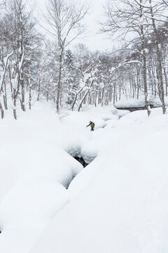 Backcountry skier in deep powder snow forest, Hokkaido
