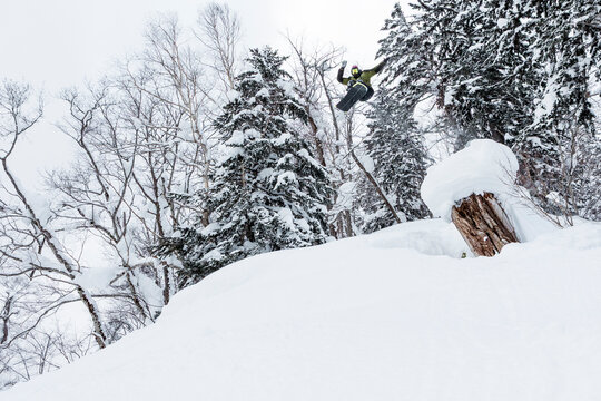 Skier jumping in deep powder snow forest in Hokkaido