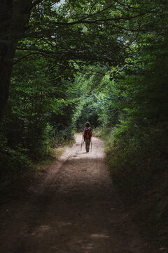 Female hiker on forest mountain trail in Somiedo, Spain