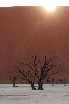 Sunrise over Sossusvlei in the Namib Desert, Namibia