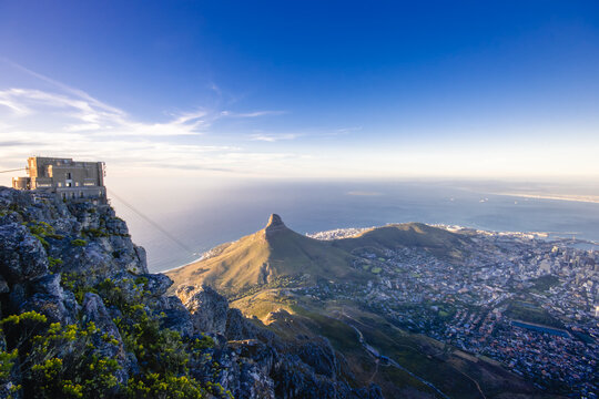 Fynbos wildflowers frame Lion's Head and Cape Town from Table Mountain
