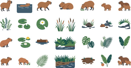 Obraz premium Capybara vector icon set with aquatic animals tropical plants lily pads and river landscape elements for design