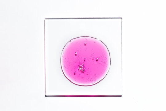 Bright pink gel swatch smear on glass slide, top view