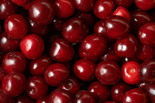 Close-up of fresh red cranberries filling the frame
