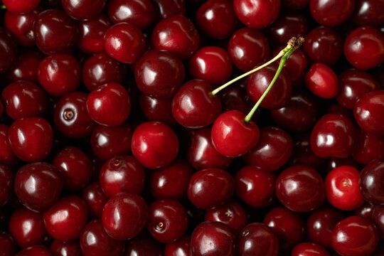 Close-up of fresh red cherry background with stems