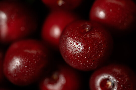 Close-up of fresh red cherry with water droplets