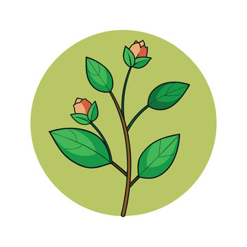 Botanical rosebud branch vector illustration, green leaf stem with pink flower buds, flat nature icon for organic skincare branding and garden design