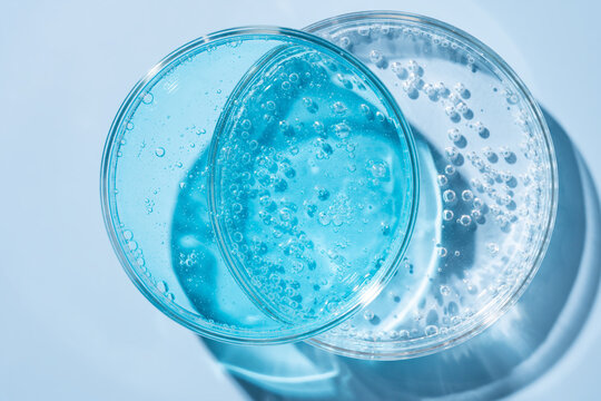 Laboratory glassware with blue gel in petri dish closeup