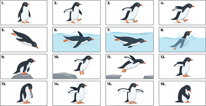 Comprehensive collection of flat vector penguin movement studies showing various swimming and walking poses isolated