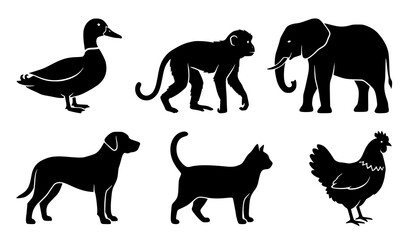 Black animal silhouette collection featuring duck monkey elephant dog cat and chicken vector set © Md