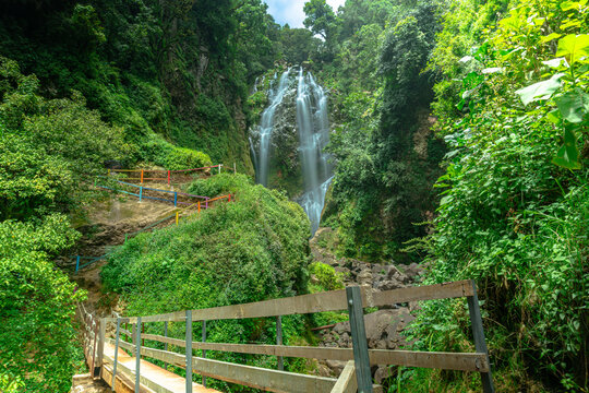 Honey puebla waterfall flowing through lush green forest