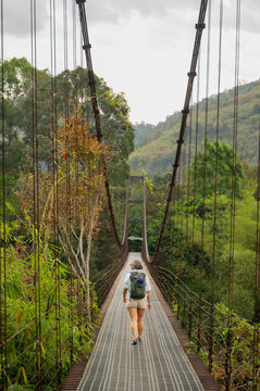 Traveler on a suspension bridge in lush Khao Sok