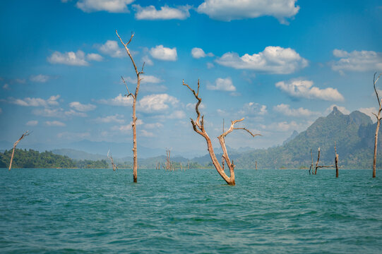 Serene landscape of Cheow Lan Lake with trees and clouds