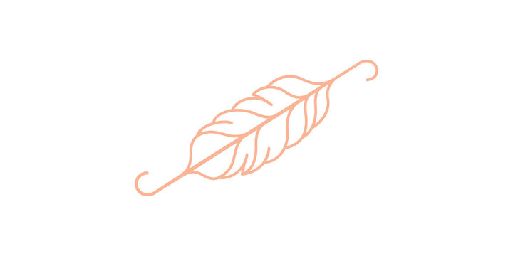 Artistic feather quill icon featuring elegant line art style with flowing decorative curves isolated on transparent background for creative design projects.