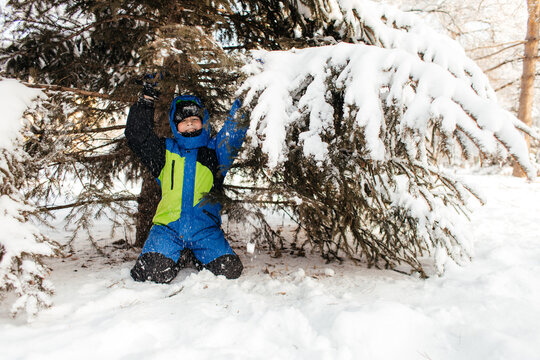 Child shaking snowy pine branch during winter outdoor play