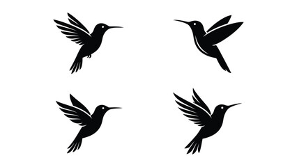 Black hummingbird flying in four directions © NasimaAktar