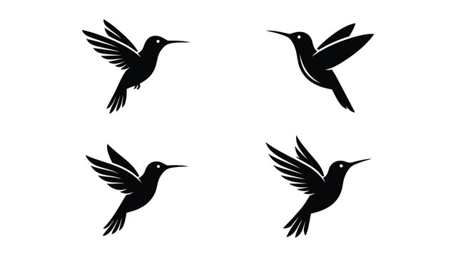 Black hummingbird flying in four directions