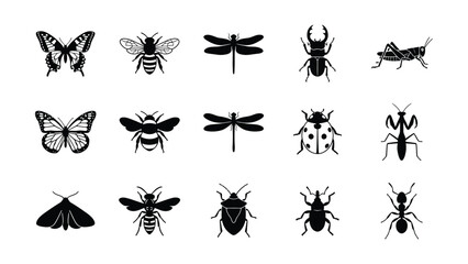 Black and white insect illustration set © NasimaAktar