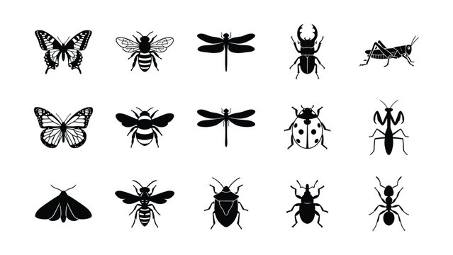 Black and white insect illustration set