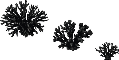 Black and white coral reef vector set featuring three different sizes of detailed branching ocean coral artwork.eps © MDACHIB