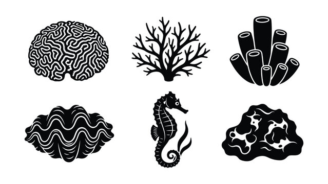 Black and white brain coral sea icons set