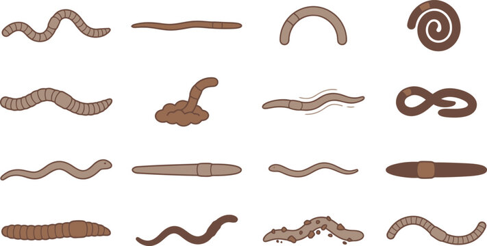 Collection of earthworm icons showing various movements and soil interactions in a simple flat vector style