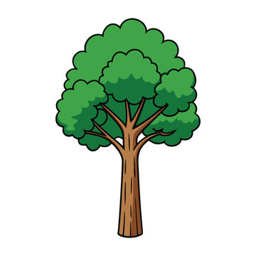 Isolated tree on white background