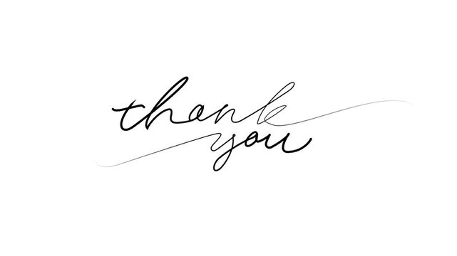 continuous single line hand-drawn words Thank You, line art . animate on transparent background.