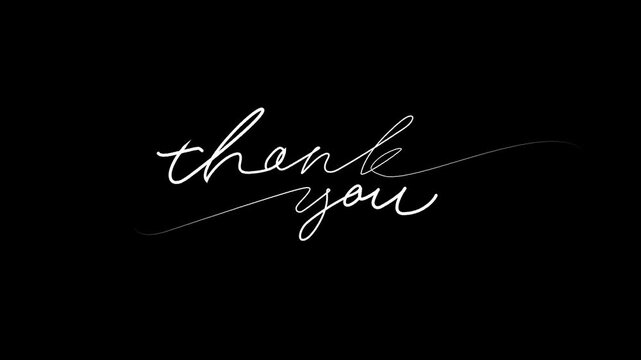 continuous single line hand-drawn words Thank You, line art . animate on transparent background.