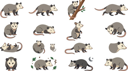Obraz premium Comprehensive collection of cute opossum characters in various poses and actions isolated on a white background