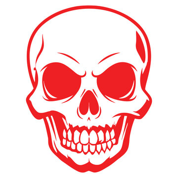 Detailed Human Skull Outline Vector Illustration