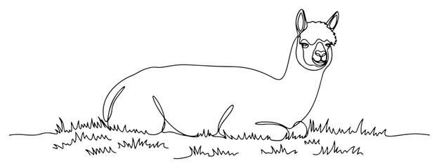 Alpaca lying on grass field continuous line art drawing llama animal vector minimalist illustration © ----WWWLINE----