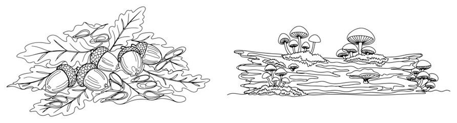 Forest nature set with acorns oak leaves and mushrooms on log line art vector for coloring book © ----WWWLINE----