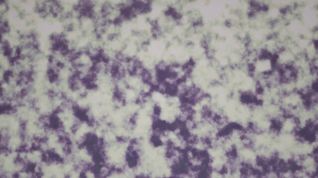 This seamless looping video shows an abstract background of purple and white granular texture