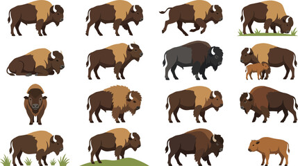 Obraz premium Detailed collection of American bison characters in various natural poses and activities in a flat vector set